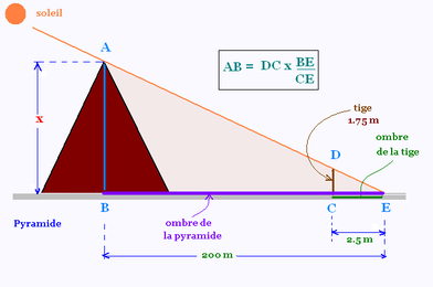 Comment calculer la hauteur dans le théorème de Thalès ?